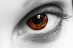 /gallery/BW-brown-Eye.jpg