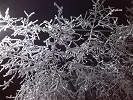 Můj hrdina