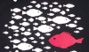 Anti-knírač